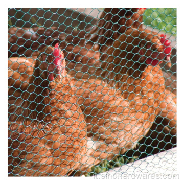 Rolto in rete di filo esagonale di pollo per isolamento in PVC Pollo in rete di pollo con rivestimento animale